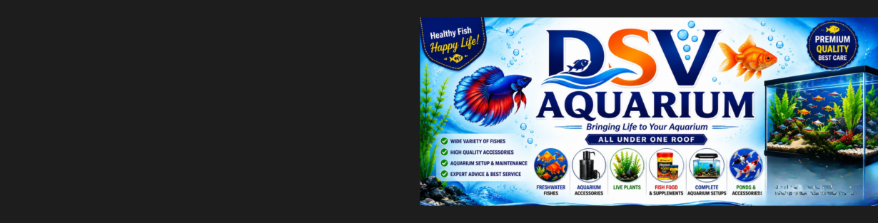 Store Banner