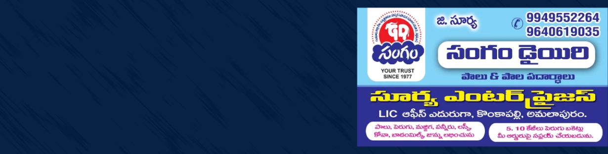 Store Banner