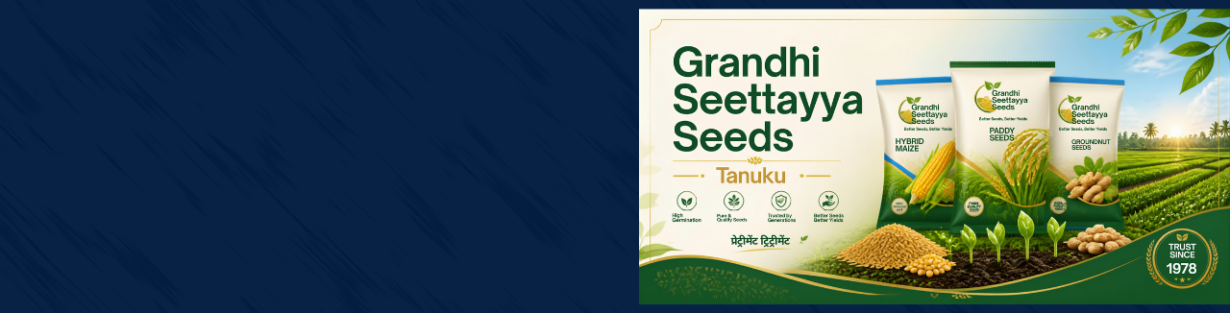 Store Banner