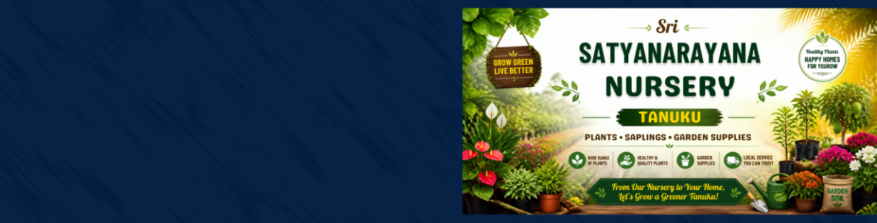 Store Banner