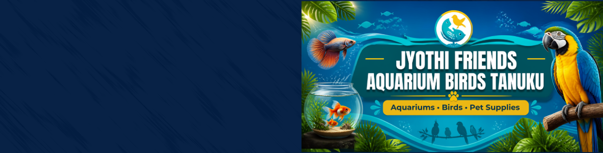 Store Banner