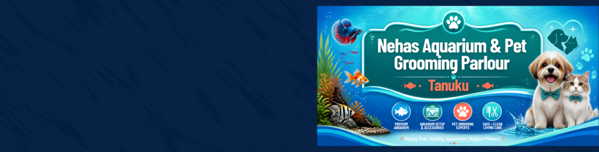 Store Banner