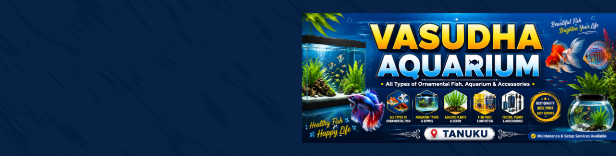 Store Banner