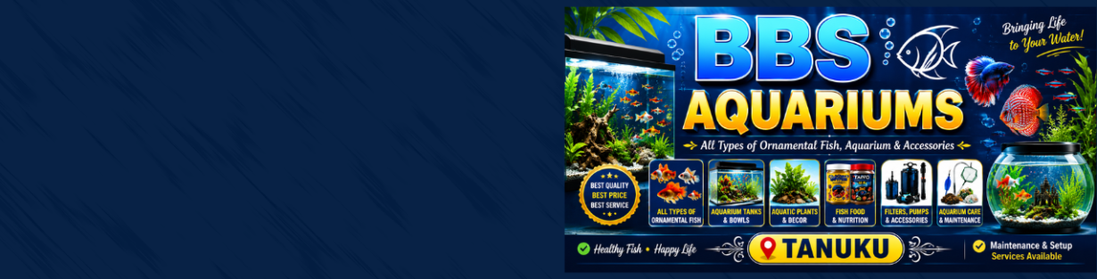 Store Banner