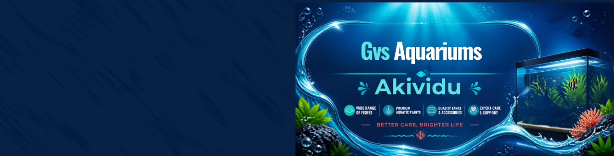 Store Banner