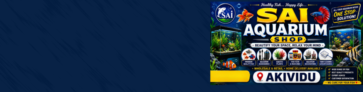 Store Banner