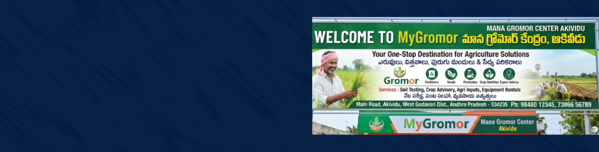 Store Banner