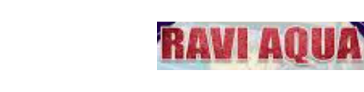 Store Banner