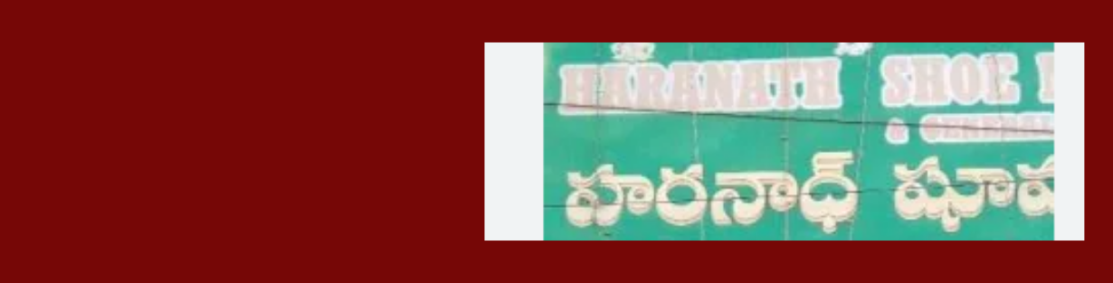 Store Banner