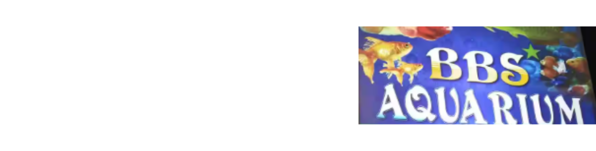 Store Banner