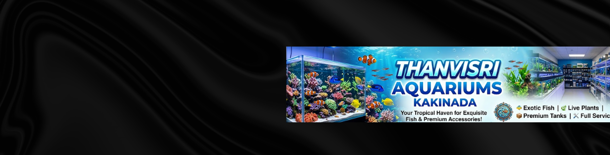 Store Banner