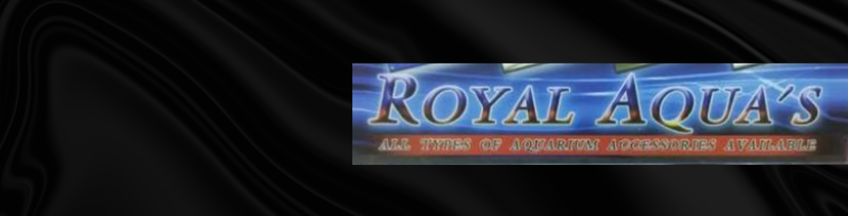 Store Banner