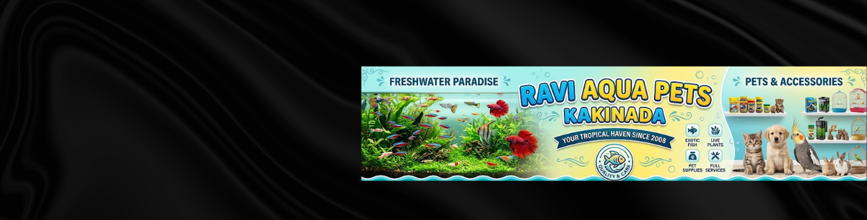 Store Banner