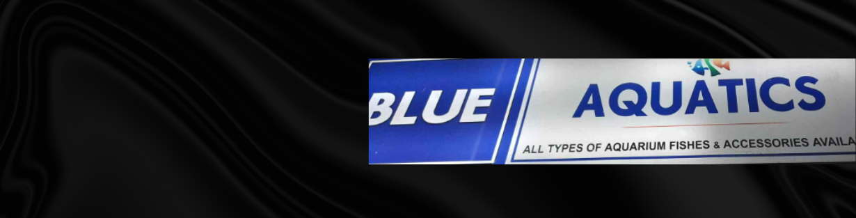Store Banner