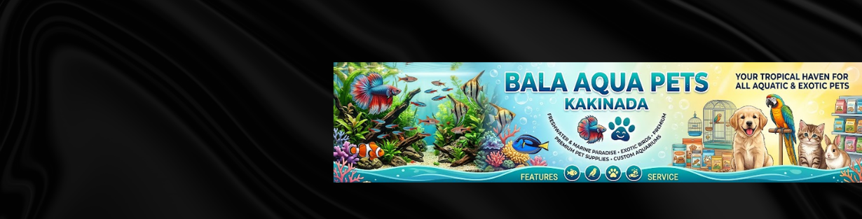 Store Banner