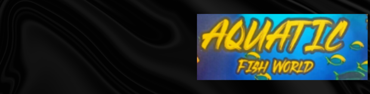 Store Banner