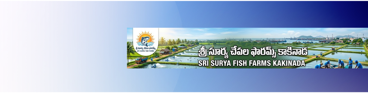 Store Banner