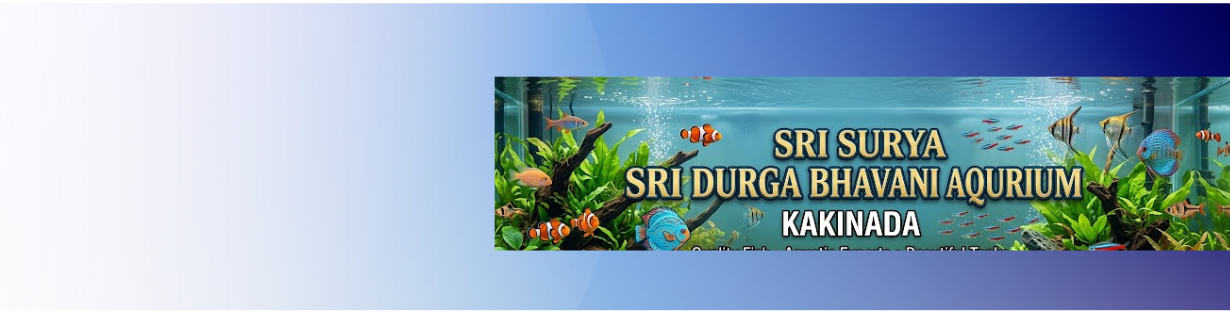 Store Banner
