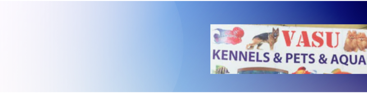 Store Banner