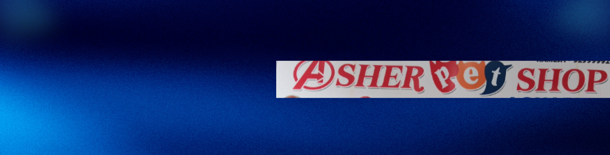Store Banner