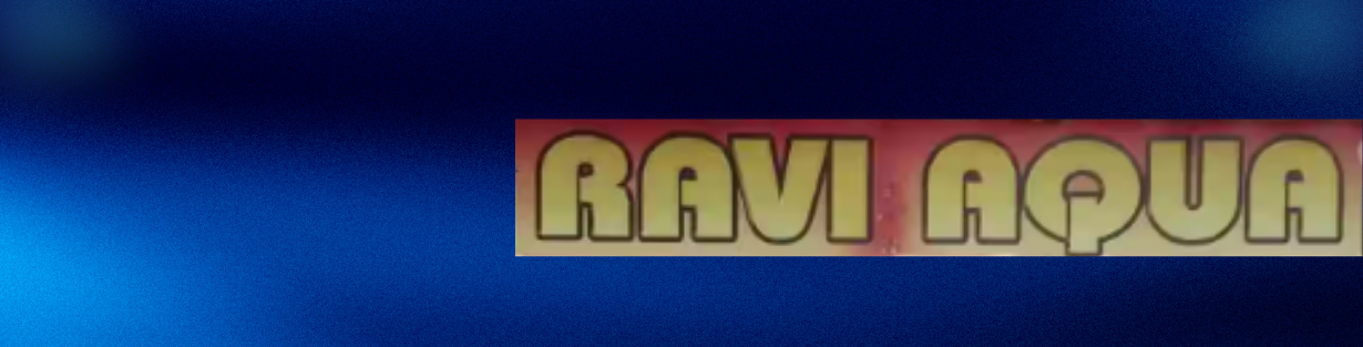 Store Banner