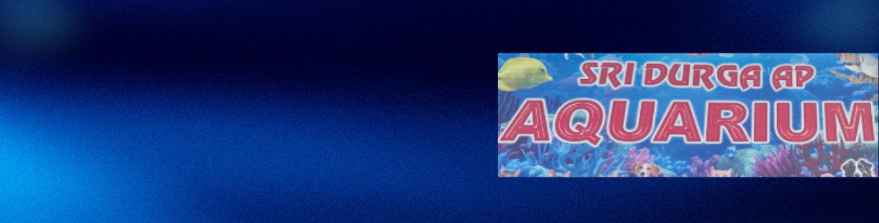 Store Banner