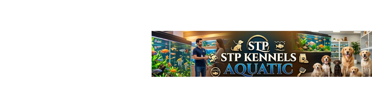 Store Banner