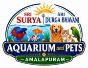 Store Logo
