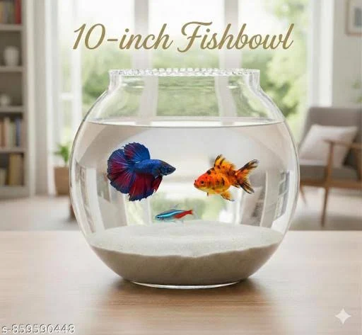 10-Inch Clear Glass Fish Bowl Aquarium
