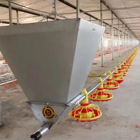 Automatic Poultry Feeder