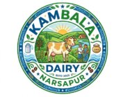 Store Logo