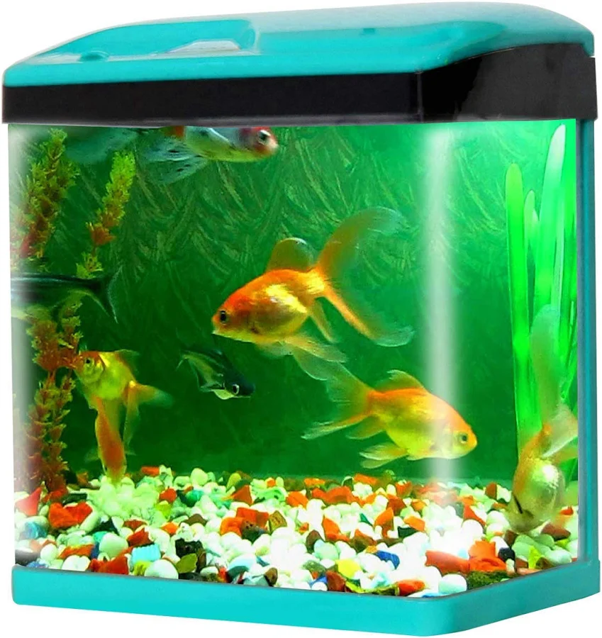Smiling Pets Crystal Clear 28-Liter Aquarium