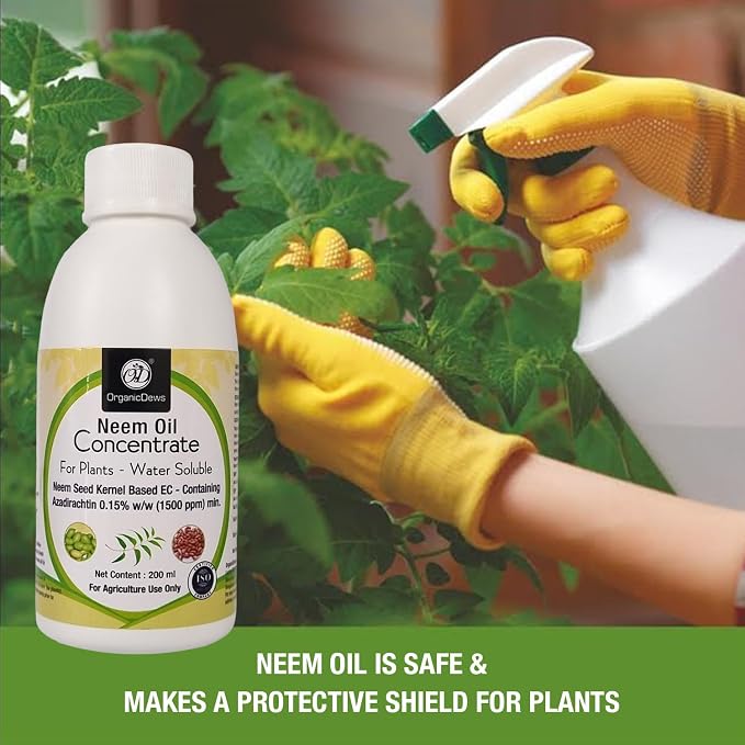 OrganicDews Neem Oil 1500 PPM