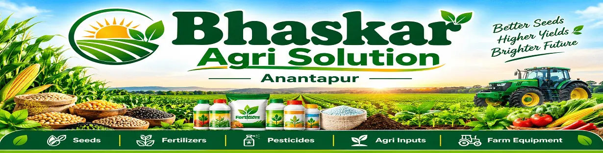 Store Banner