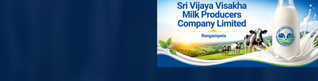 Store Banner