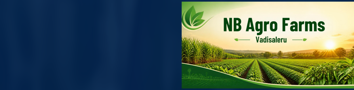 Store Banner