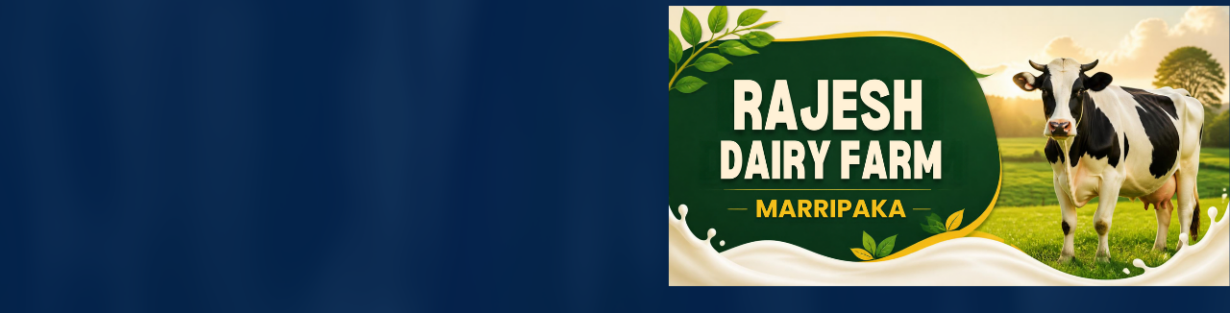 Store Banner