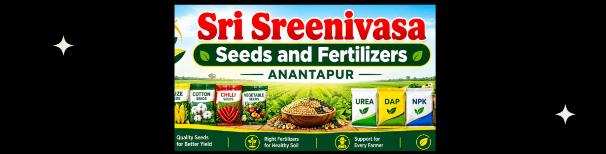 Store Banner