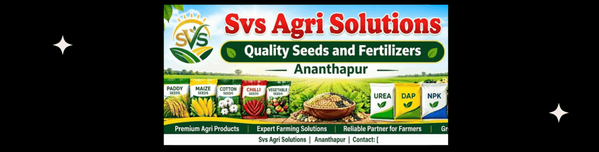 Store Banner