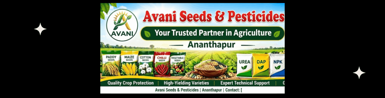 Store Banner