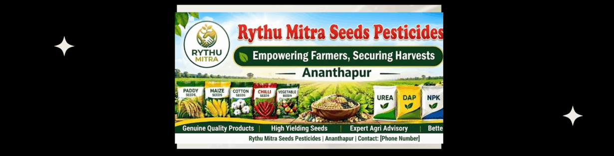 Store Banner