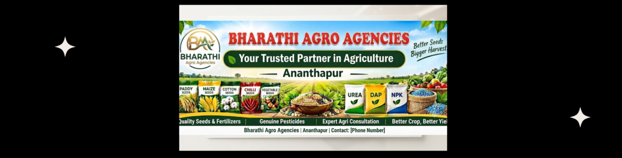 Store Banner