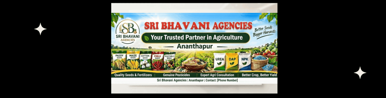 Store Banner