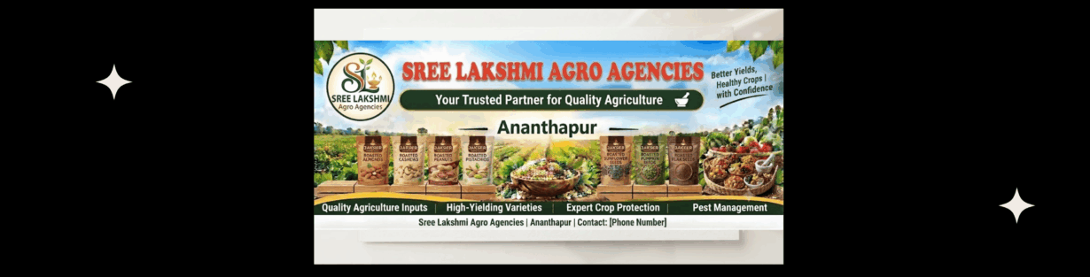 Store Banner