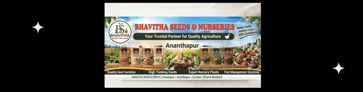Store Banner