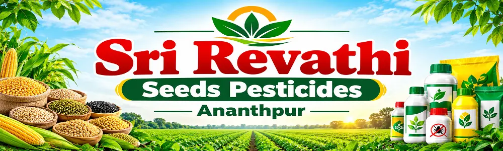 Store Banner