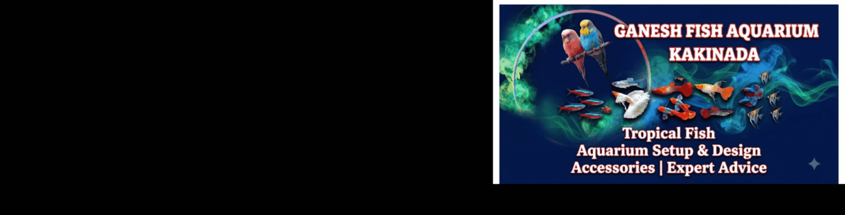 Store Banner