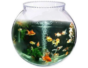 Untitled-Design-2026-09-25T100846.292