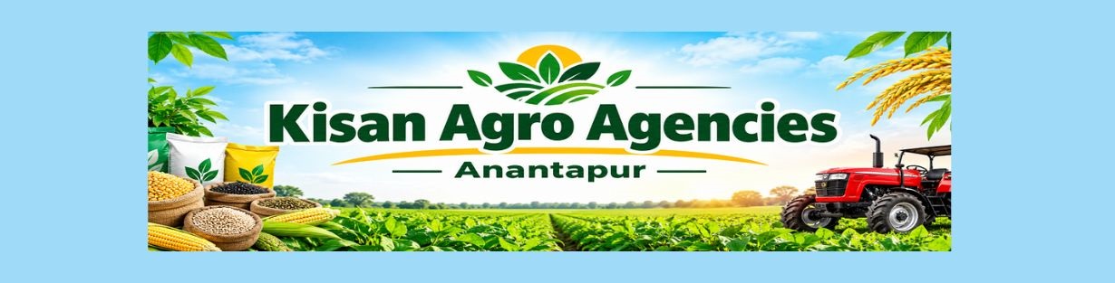 Store Banner
