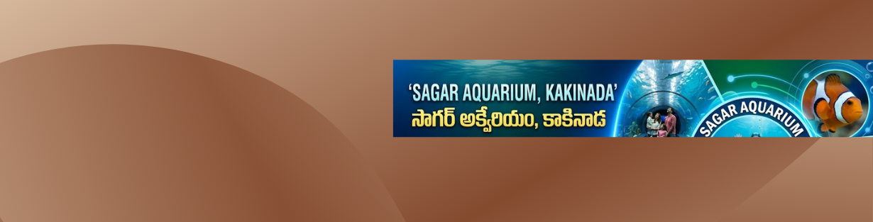 Store Banner